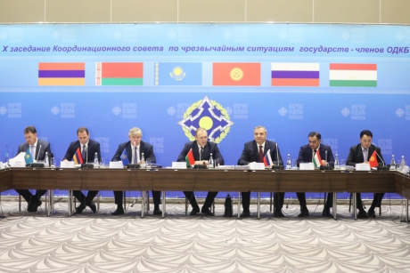 Глава МЧС России Владимир Пучков принял участие в заседании Координационного совета по чрезвычайным ситуациям