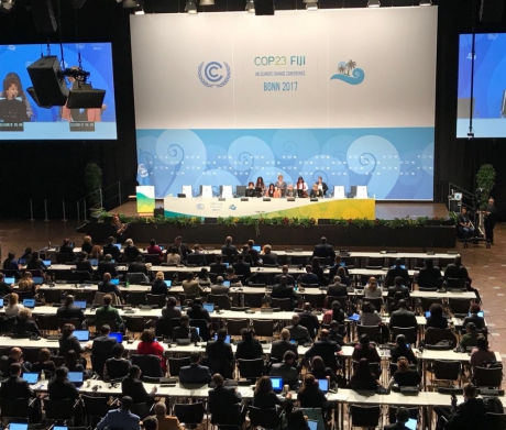 Делегация МЧС России приняла участие в международных сессиях, посвященных изменению климата