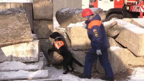В Хабаровском крае сотрудники МЧС России провели учение по ликвидации последствий землетрясения