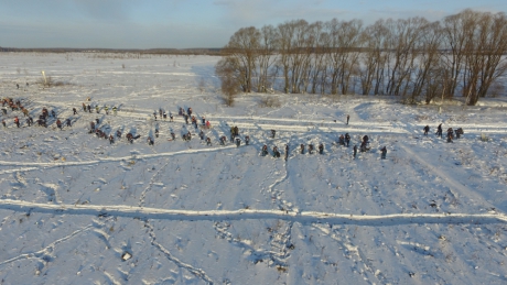 Площадь разлета обломков Ан-148, упавшего в Подмосковье, составила более 30 га (видео)