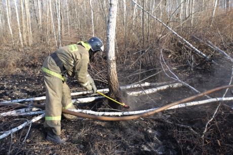 Глава МЧС России поручил дополнительно проконтролировать пожарную обстановку в Ленинградской области Глава МЧС России поручил дополнительно проконтролировать пожарную обстановку в Ленинградской области