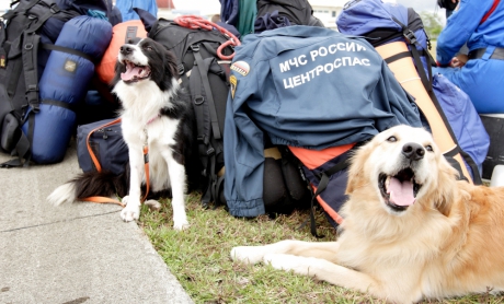 20 июня – День образования кинологической службы МЧС России
