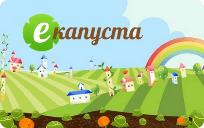 Как оформить онлайн займ на примере сервиса еКапуста?