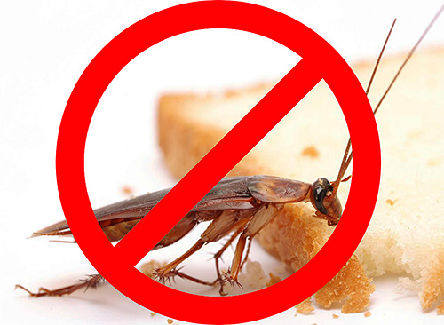 Профессиональное уничтожение насекомых в Крыму