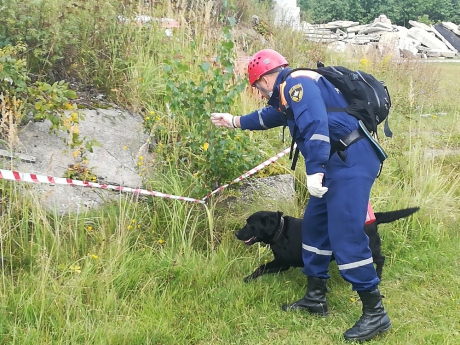 Завершились сертификационные испытания кинологических расчетов МЧС России