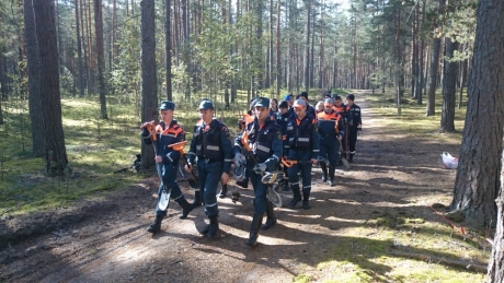 Поисковый отряд курсантов МЧС России обнаружил в Ленинградской области останки солдат времен Великой Отечественной войны