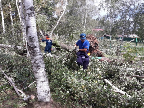 В Хабаровском крае в большинстве населенных пунктов восстановлено электроснабжение после циклона В Хабаровском крае в большинстве населенных пунктов восстановлено электроснабжение после циклона