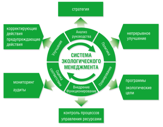 Какие задачи экологического менеджмента первостепенны?