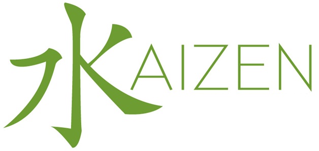 Концепции японских традиций в обучении