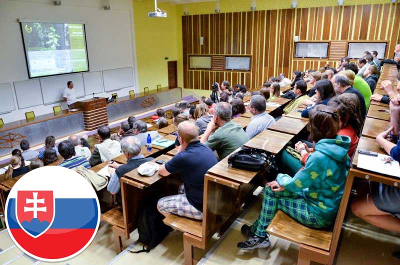 Обучение в Словакии: преимущества и целевая аудитория