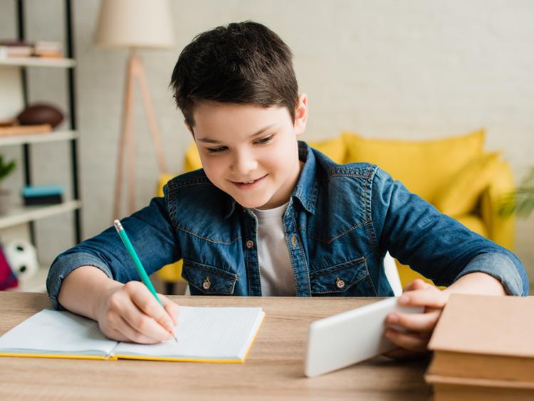 Можно ли позволять детям пользоваться ГДЗ?