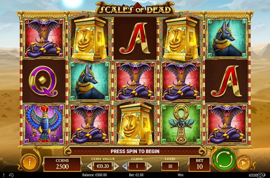 Казино и их влияние на мировые модные тенденции