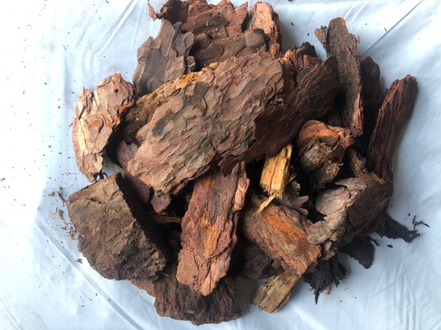 Сосновая кора: секреты идеального мульчирования