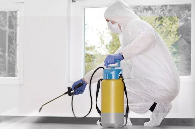 Дезинфекция: Технологии и подходы для чистоты