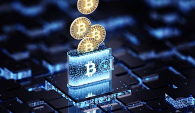 Сколько стоит биткоин и как купить его по выгодному курсу для начинающих